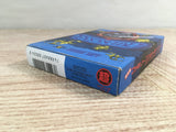 Faxanadu Boxed Nintendo Famicom NES Japan - UF7775