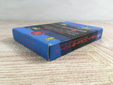 Faxanadu Boxed Nintendo Famicom NES Japan - UF7775