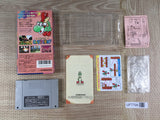 Super Mario World 2 Yoshi's Island Boxed Super Famicom SNES Japan - UF7799