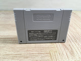 Dungeon Master Boxed Nintendo Super Famicom SNES Japan - UF7820