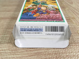 Hanjuku Hero Boxed Nintendo Super Famicom SNES Japan - UF7832