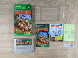 Super Donkey Kong Country Boxed Nintendo Super Famicom SNES Japan - UF7833