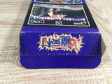 Chou Makaimura Super Ghouls 'n Ghosts Boxed Super Famicom SNES Japan - UF7835