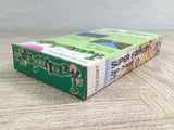 Lemmings Boxed Nintendo Super Famicom SNES Japan - UF7853