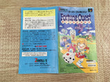 Fortune Quest Dice wo Korogase Boxed Nintendo Super Famicom SNES Japan - UF7856