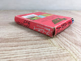 FASTEST LAP Boxed Nintendo GameBoy Japan - UF7869