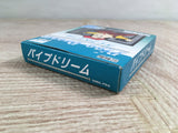 Pipe Dream Mania Boxed Nintendo GameBoy Japan - UF7872