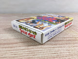 Hiryu no Ken Special Fighting Wars Boxed Nintendo Famicom NES Japan - UF7948