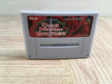 Card Master Rimusaria no Fuuin Boxed Nintendo Super Famicom SNES Japan - UF7984