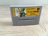 Dragon Ball Z Super Butouden Boxed Nintendo Super Famicom SNES Japan - UF8000