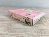 Chibi Maruko chan Okozukai Daisakusen Boxed Nintendo GameBoy Japan - UF8019
