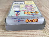 Super Mario Land 2 6 Golden Coins Boxed Nintendo GameBoy Japan - UF8020