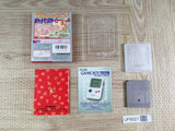 Pokemon Red Boxed Nintendo GameBoy Japan - UF8021