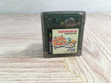 Hamster Paradise 3 Churee Three Boxed Nintendo GameBoy Japan - UF8030