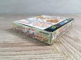 Hamster Paradise 3 Churee Three Boxed Nintendo GameBoy Japan - UF8030