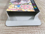 Hamster Paradise 4 Boxed Nintendo GameBoy Japan - UF8031