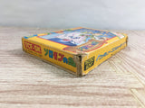 Solomon's Key Boxed Nintendo Famicom NES Japan - UF8059