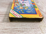Solomon's Key Boxed Nintendo Famicom NES Japan - UF8059