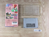 Mario 2 Yoshi's Island Boxed Nintendo Super Famicom SNES Japan - UF8072