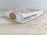 Hanjuku Hero Boxed Nintendo Super Famicom SNES Japan - UF8090