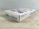 Hanjuku Hero Boxed Nintendo Super Famicom SNES Japan - UF8090