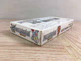 The Great Battle 2 Boxed Nintendo Super Famicom SNES Japan - UF8108