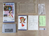 Fatal Fury Special Boxed Nintendo Super Famicom SNES Japan - UF8112