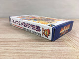 Fatal Fury Special Boxed Nintendo Super Famicom SNES Japan - UF8112