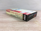 Super Fire Pro Wrestling Boxed Nintendo Super Famicom SNES Japan - UF8117
