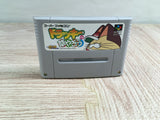 Dolucky no Kusayakiu Boxed Nintendo Super Famicom SNES Japan - UF8128