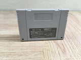 Dolucky no Kusayakiu Boxed Nintendo Super Famicom SNES Japan - UF8128