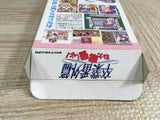 Sotsugyou Bangai Hen Boxed Nintendo Super Famicom SNES Japan - UF8129
