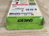The Legend of Zelda Link's Awakening DX Boxed Nintendo GameBoy Japan - UF8142