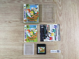 The Legend of Zelda Link's Awakening DX Boxed Nintendo GameBoy Japan - UF8142