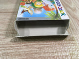 The Legend of Zelda Link's Awakening DX Boxed Nintendo GameBoy Japan - UF8142