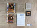 Poyon's Dungeon Room Boxed Nintendo GameBoy Japan - UF8145