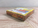 Poyon's Dungeon Room Boxed Nintendo GameBoy Japan - UF8145