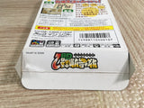 Harvest Moon Bokujo Monogatari 2 GB Boxed Nintendo GameBoy Japan - UF8148