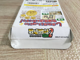 Harvest Moon Bokujo Monogatari 2 GB Boxed Nintendo GameBoy Japan - UF8148