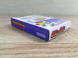 Pokemon Puzzle Challenge Pokemon de Panepon Boxed GameBoy Japan - UF8151