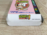 Harvest Moon Bokujo Monogatari 3 GB Boxed Nintendo GameBoy Japan - UF8153