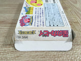 Kirby Kirby's Adventure Boxed Nintendo Famicom NES Japan - UF8185