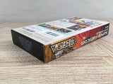 Elfaria A Fantastic Theater Boxed Nintendo Super Famicom SNES Japan - UF8232