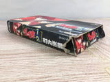 Ranma 1/2 Chounai Gekitou Hen Boxed Nintendo Super Famicom SNES Japan - UF8249