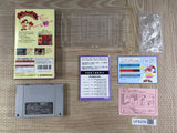 Panel de Pon Boxed Nintendo Super Famicom SNES Japan - UF8259
