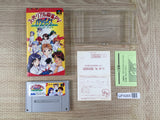 Super Real Mahjong PV Paradise AllStar Boxed Super Famicom SNES Japan - UF8265