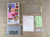 Super Real Mahjong PV Paradise AllStar Boxed Super Famicom SNES Japan - UF8265