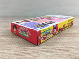 Super Real Mahjong PV Paradise AllStar Boxed Super Famicom SNES Japan - UF8265