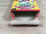 Super Real Mahjong PV Paradise AllStar Boxed Super Famicom SNES Japan - UF8265