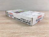 Kouryuu Densetsu Villgust Kieta Shoujo Boxed Super Famicom SNES Japan - UF8336 - Photo 5